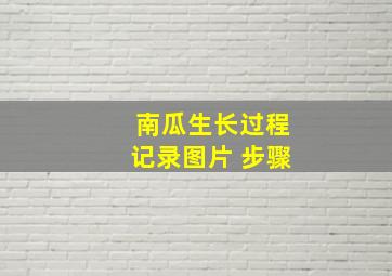 南瓜生长过程记录图片 步骤